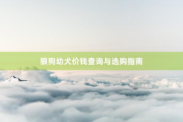 狼狗幼犬价钱查询与选购指南